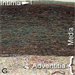 Elastic type artery 75x75